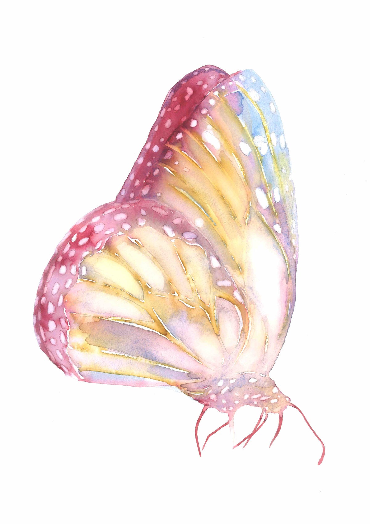Butterfly no. 2