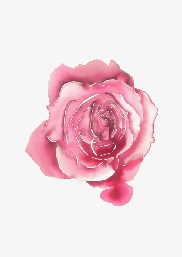 Feminine Rose 11