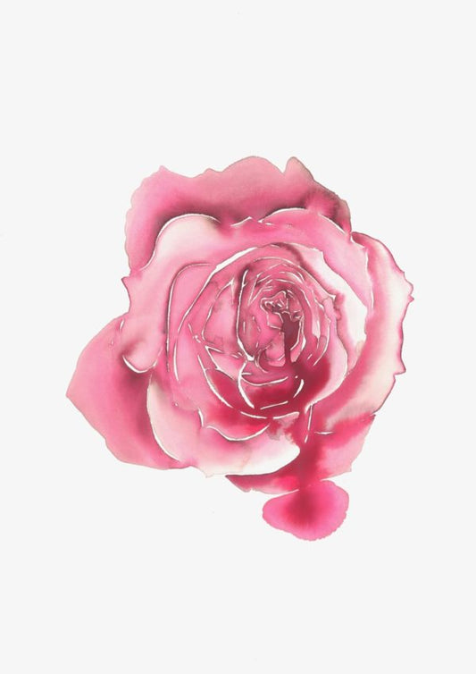 Feminine Rose 11