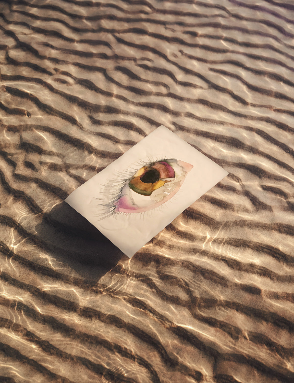 Eye